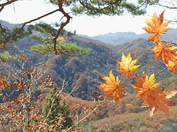 廣東恒源集團(tuán)有限公司